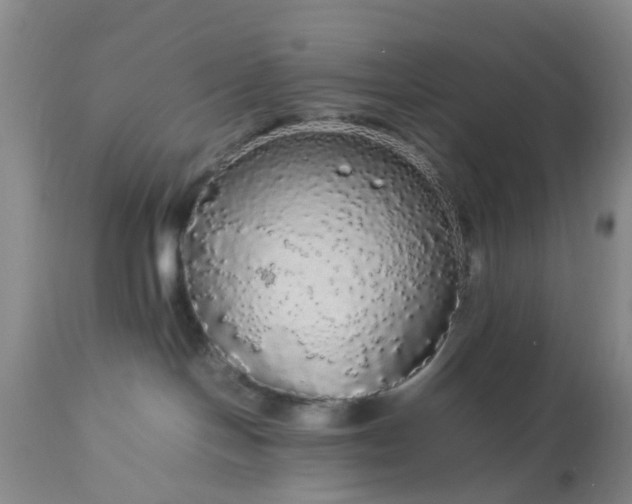 X0000113070094200909110950