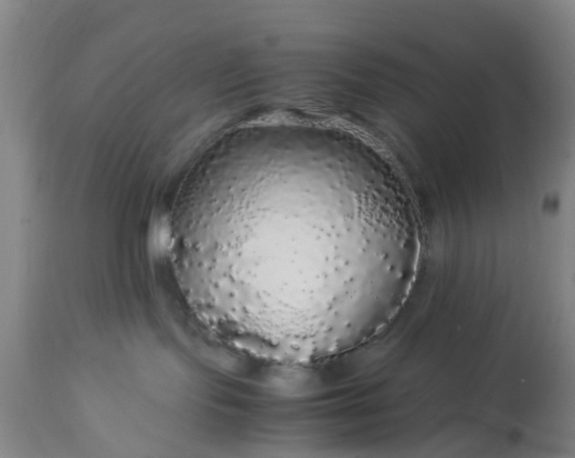 X0000113070095200909110950