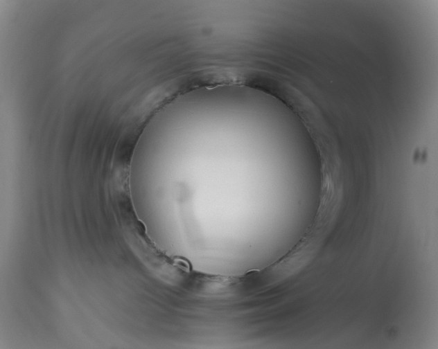 X0000113070096200909110950