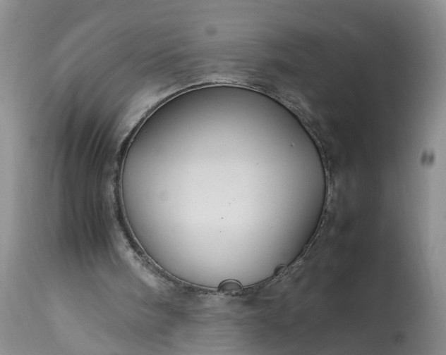 X0000113070098200909110950