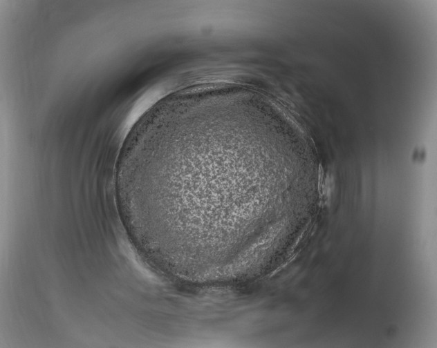 X0000113070099200909110950