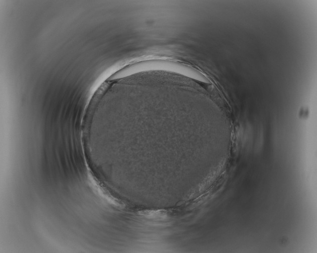 X0000113070100200909110950