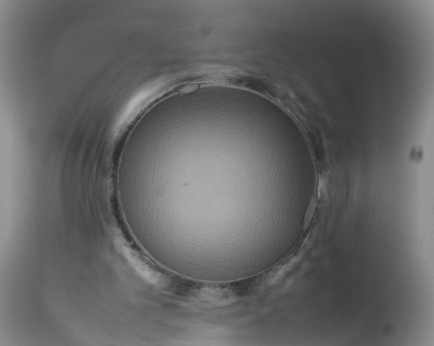 X0000113070101200909110950