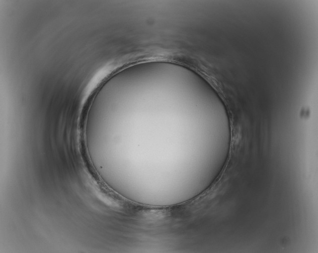 X0000113070102200909110950