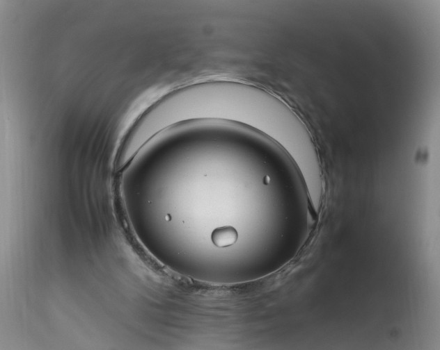 X0000113070104200909110950