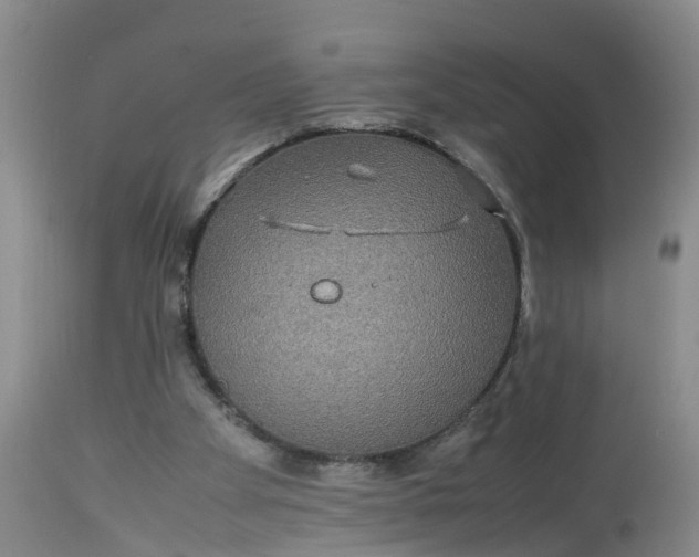 X0000113070105200909110950