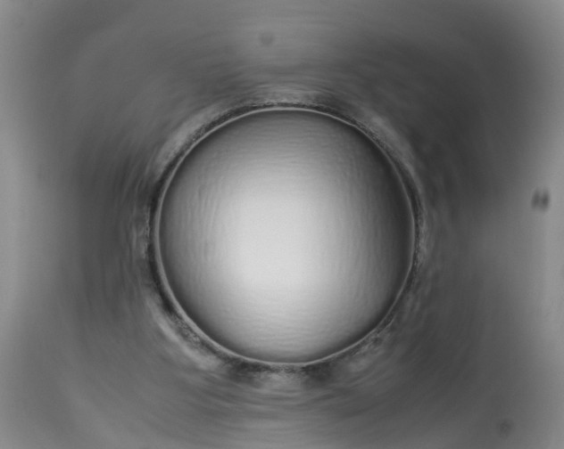 X0000113070107200909110949