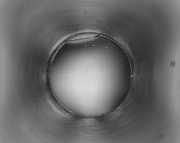 X0000113070108200909110949