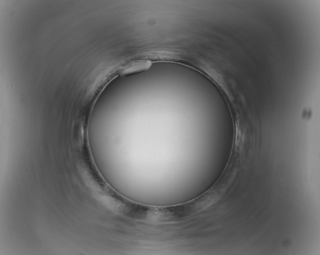 X0000113070109200909110949