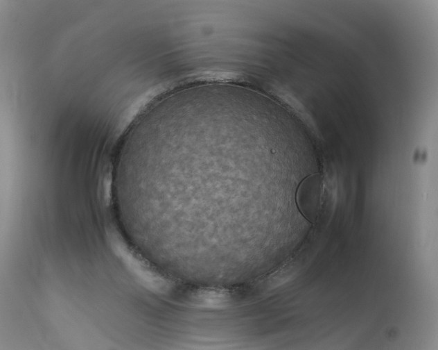 X0000113070110200909110949