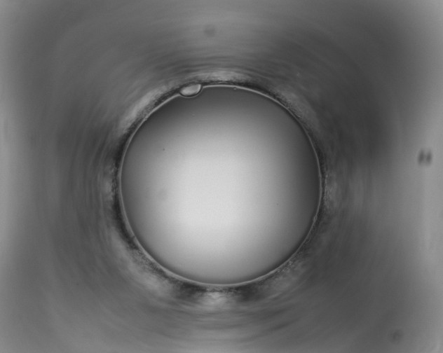 X0000113070111200909110949