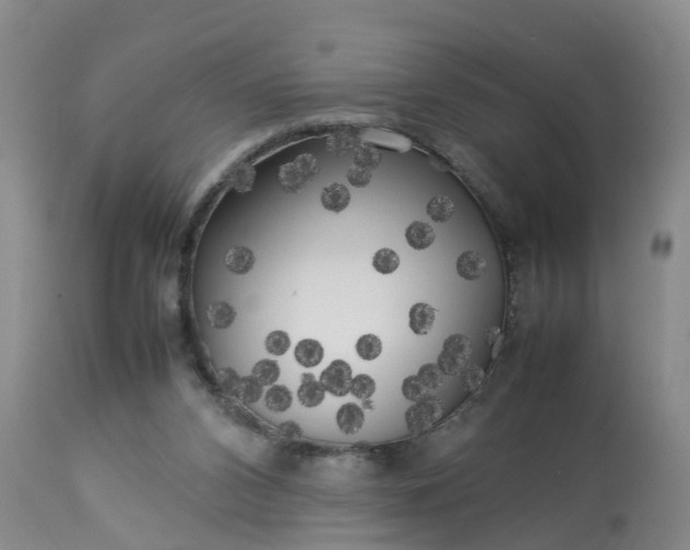 X0000113070112200909110949