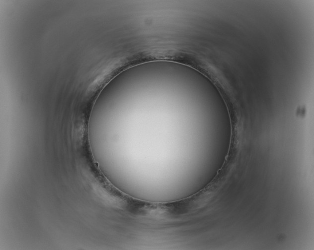 X0000113070113200909110949