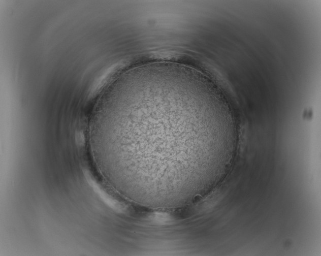 X0000113070114200909110949