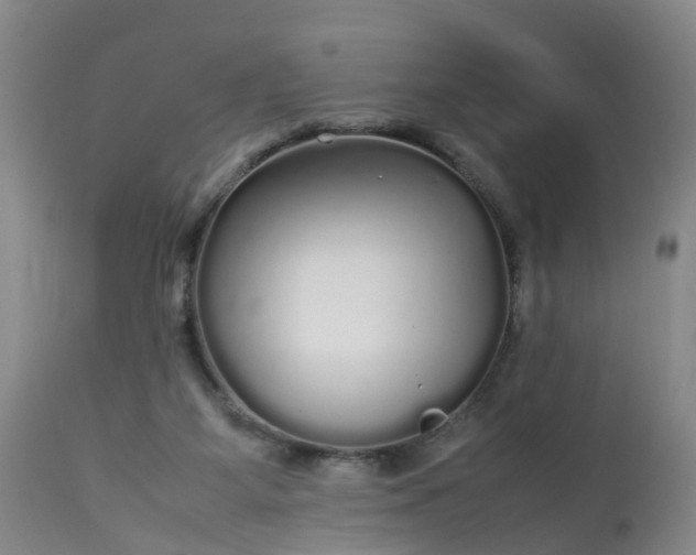 X0000113070115200909110949