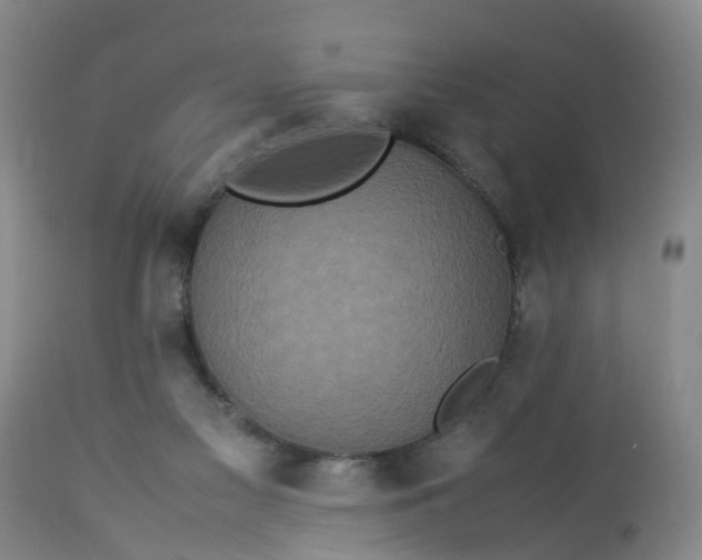 X0000113070117200909110949