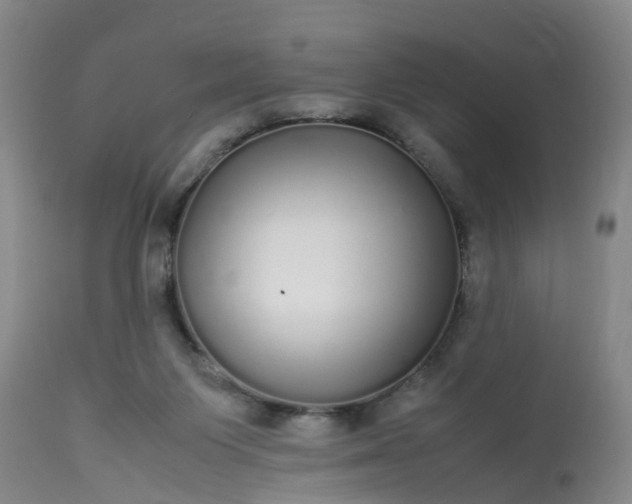 X0000113070119200909110949