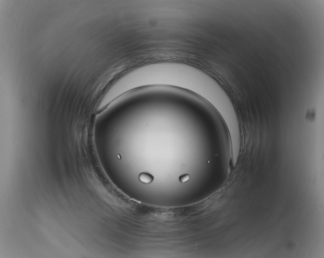 X0000113070120200909110949