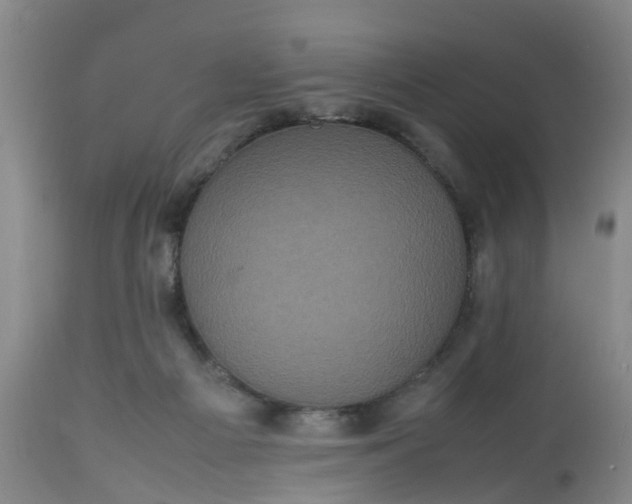 X0000113070121200909110949