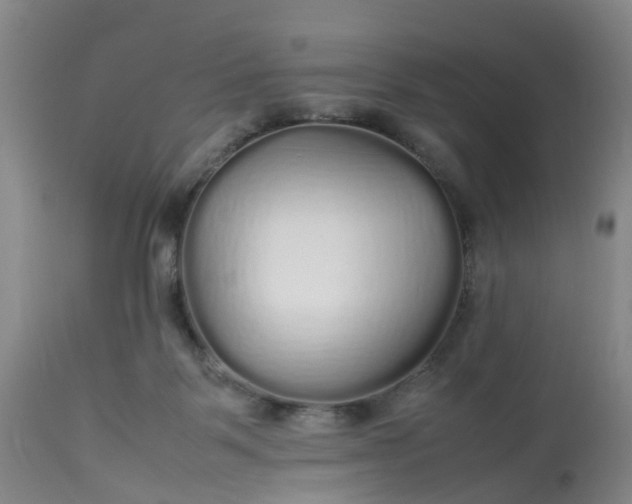 X0000113070123200909110949