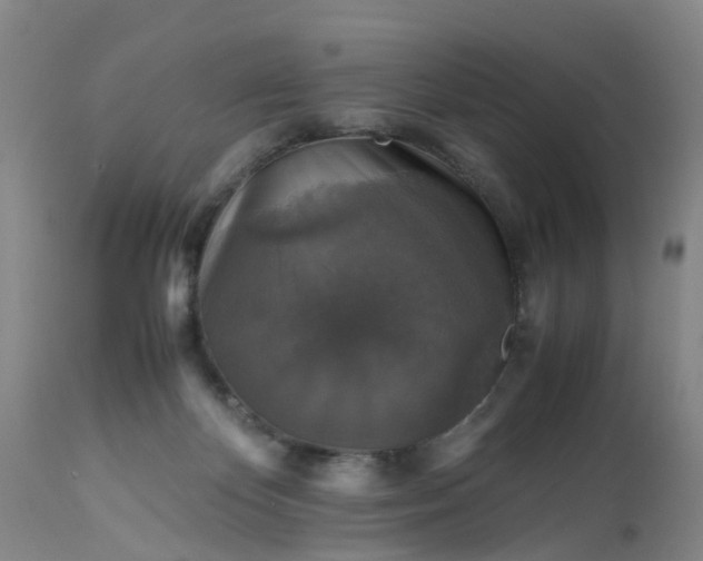 X0000113070124200909110949