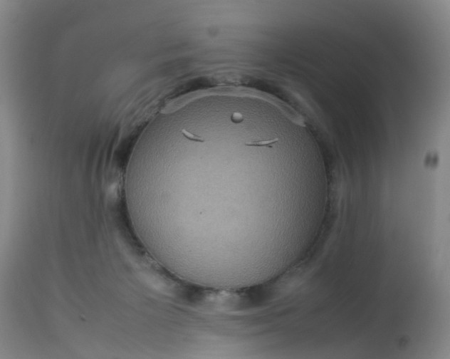 X0000113070125200909110949