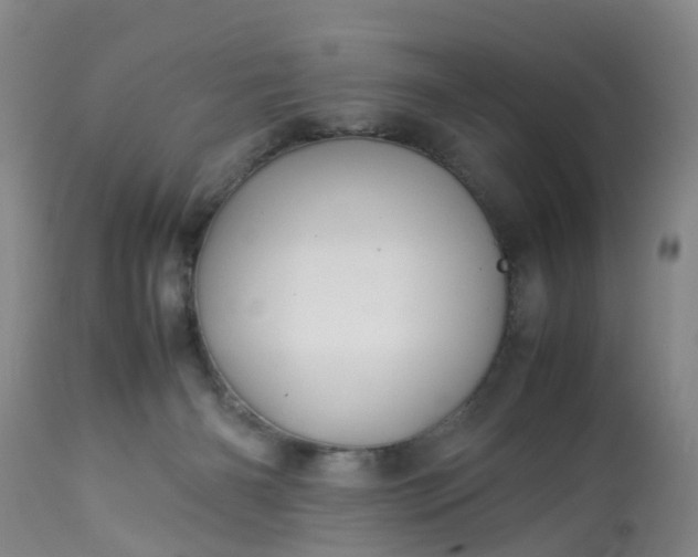 X0000113070126200909110949