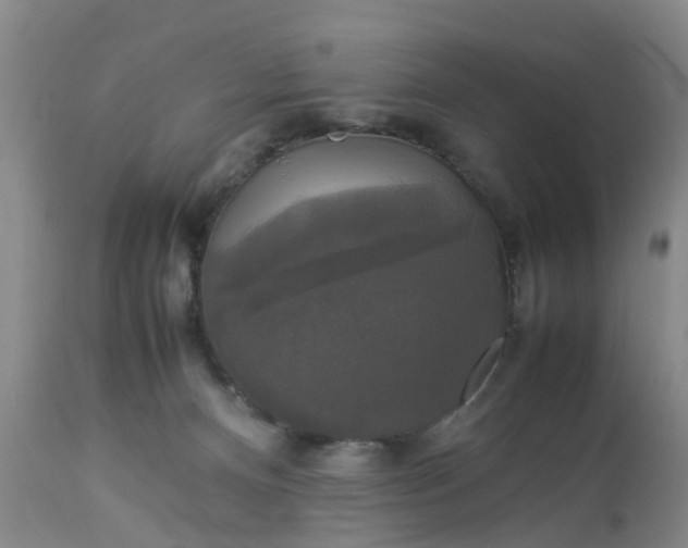 X0000113070128200909110949