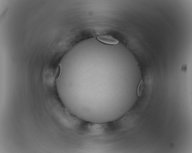 X0000113070129200909110949