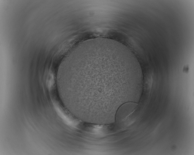 X0000113070130200909110949