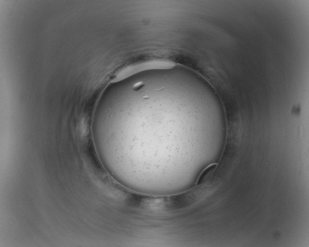 X0000113070131200909110949