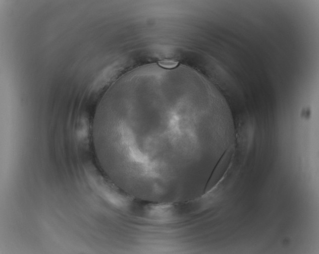 X0000113070132200909110949