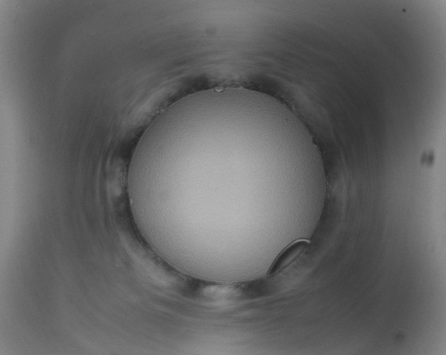 X0000113070133200909110949