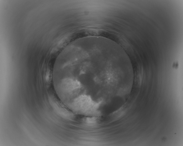 X0000113070134200909110949