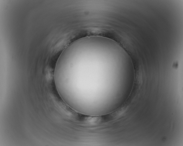 X0000113070135200909110949