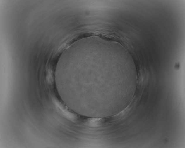 X0000113070136200909110949