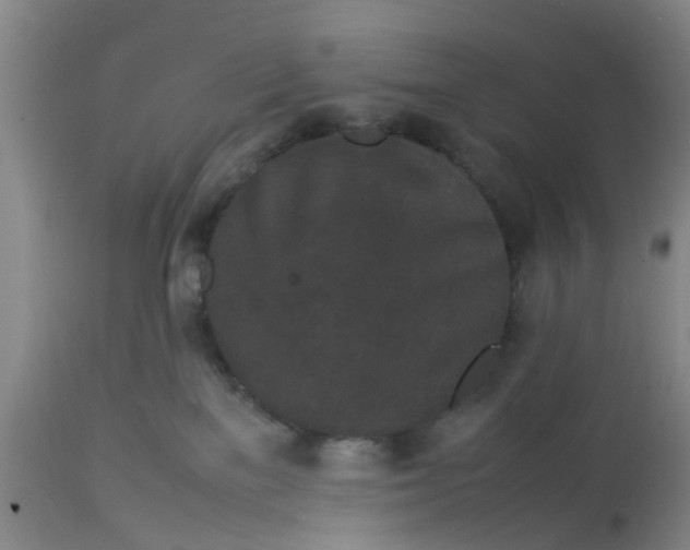 X0000113070137200909110949