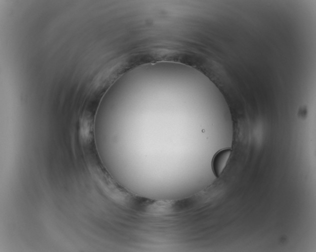 X0000113070138200909110949