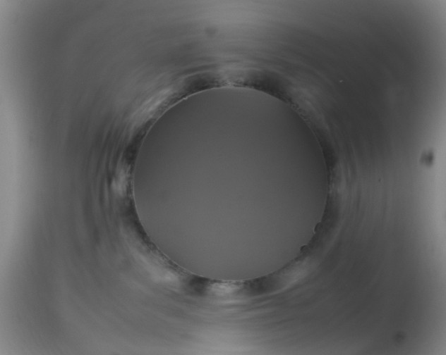 X0000113070139200909110949