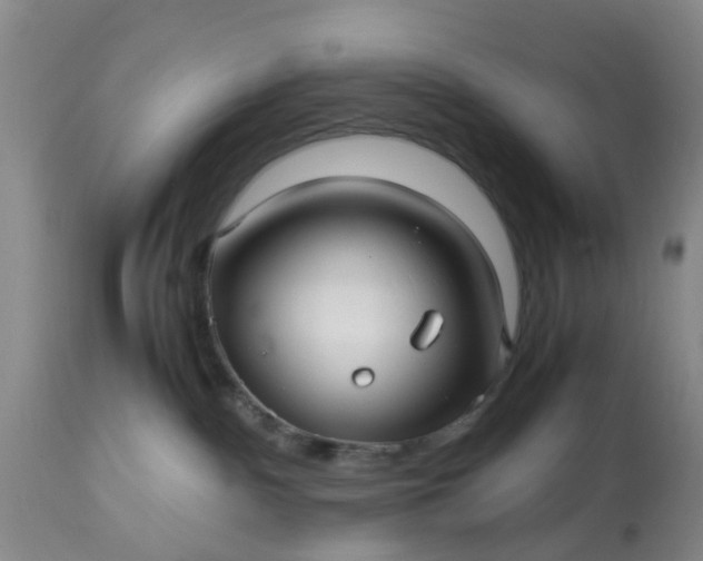 X0000113070140200909110949