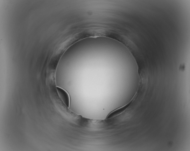 X0000113070141200909110949