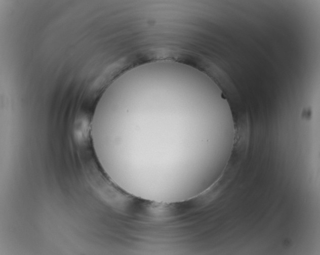 X0000113070142200909110949