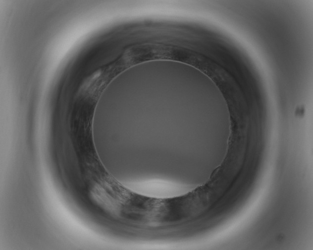 X0000113070143200909110949