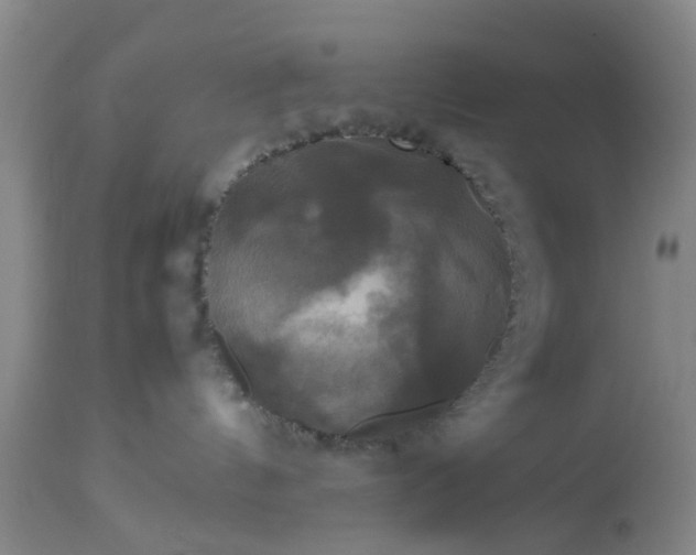 X0000113070144200909110949