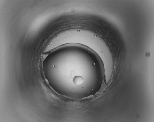 X0000113070146200909110948