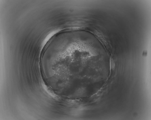 X0000113070147200909110948