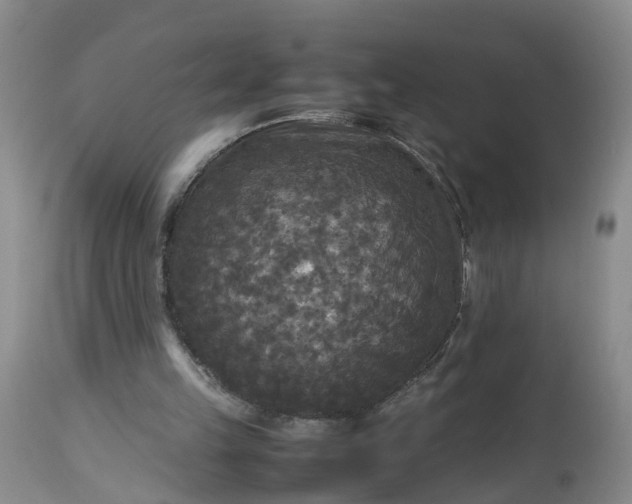 X0000113070149200909110948