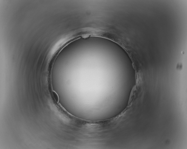 X0000113070150200909110948