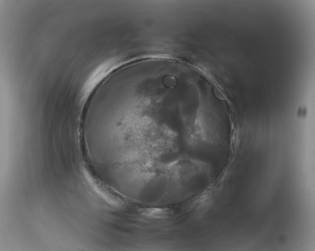 X0000113070151200909110948