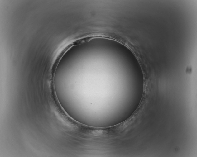 X0000113070152200909110948